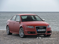 µ Audi RS4 ͼƬ ͼ 